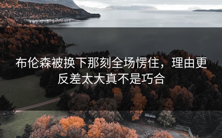 布伦森被换下那刻全场愣住，理由更反差太大真不是巧合