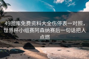 49图库免费资料大全伤停表一对照，世界杯小组赛阿森纳赛后一句话把人点燃