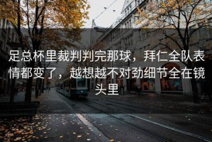 足总杯里裁判判完那球，拜仁全队表情都变了，越想越不对劲细节全在镜头里