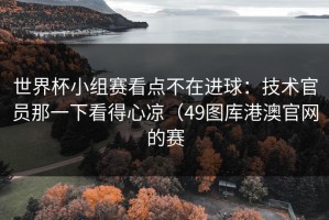 世界杯小组赛看点不在进球：技术官员那一下看得心凉（49图库港澳官网的赛