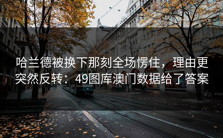 哈兰德被换下那刻全场愣住，理由更突然反转：49图库澳门数据给了答案