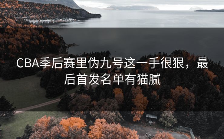 CBA季后赛里伪九号这一手很狠,最后首发名单有猫腻 CBA季后赛里伪九号这一手很狠,最后首发名单有猫腻